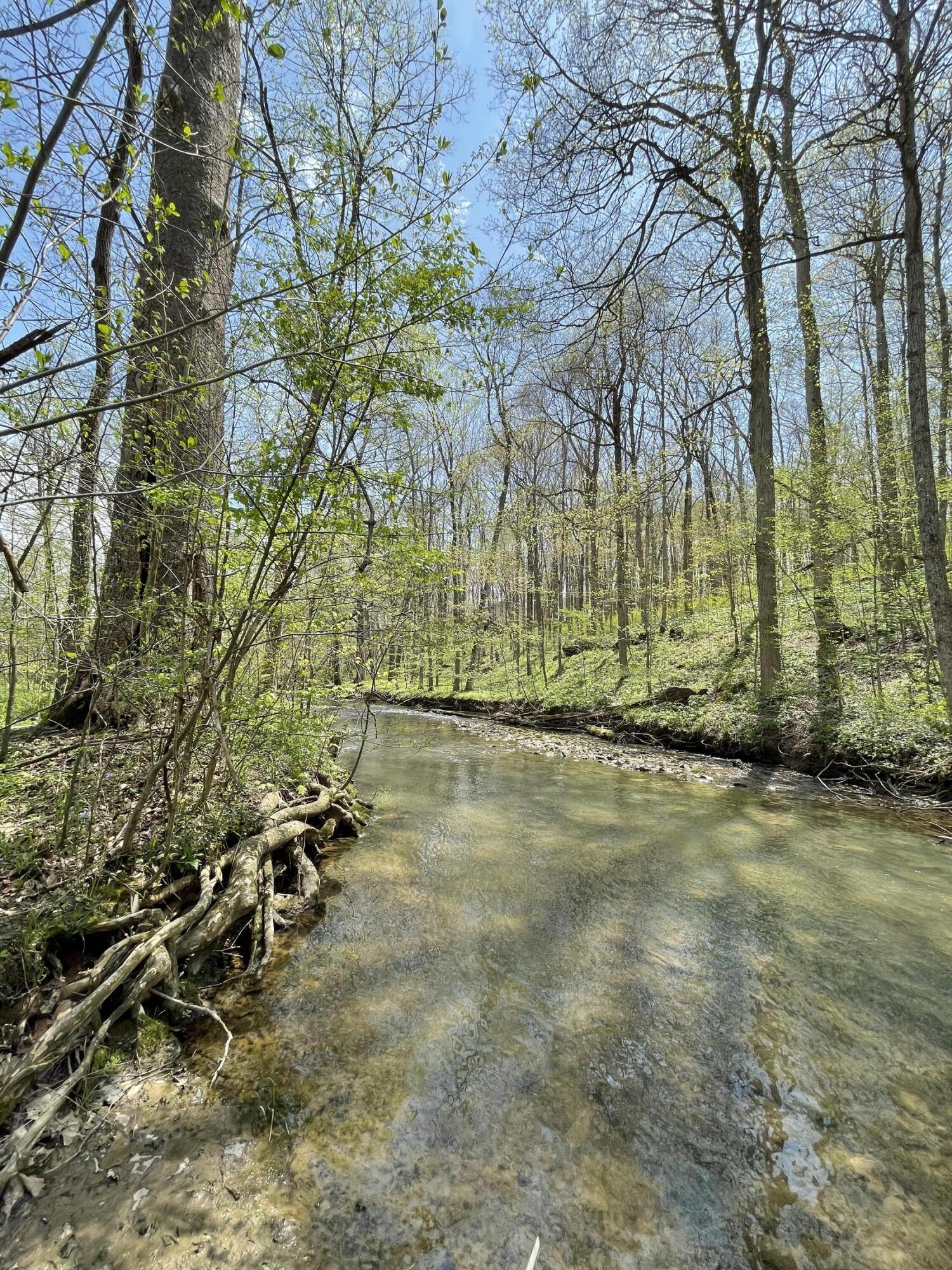 100 Horned Owl Road Bloomington, IN 47403 - Photo 11 of 60 160 ACRES - BLOOMINGTON, INDIANA