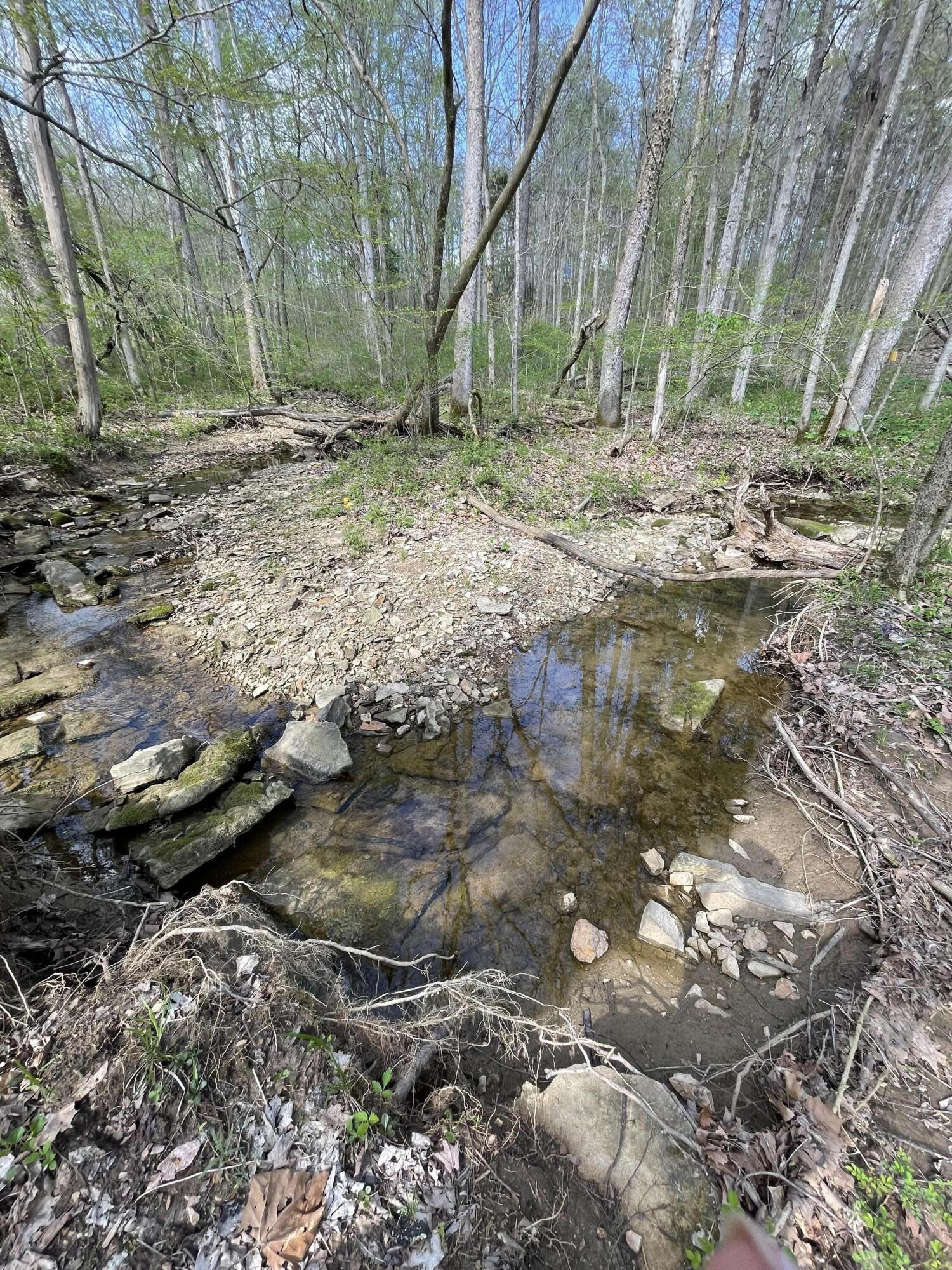 100 Horned Owl Road Bloomington, IN 47403 - Photo 14 of 60 160 ACRES - BLOOMINGTON, INDIANA