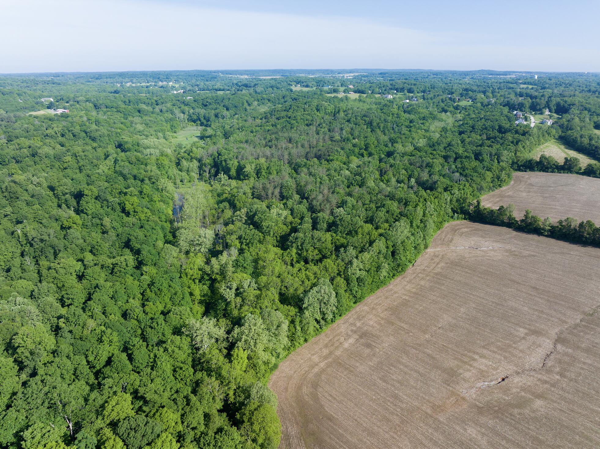 100 Horned Owl Road Bloomington, IN 47403 - Photo 15 of 60 15 Summer 7MB