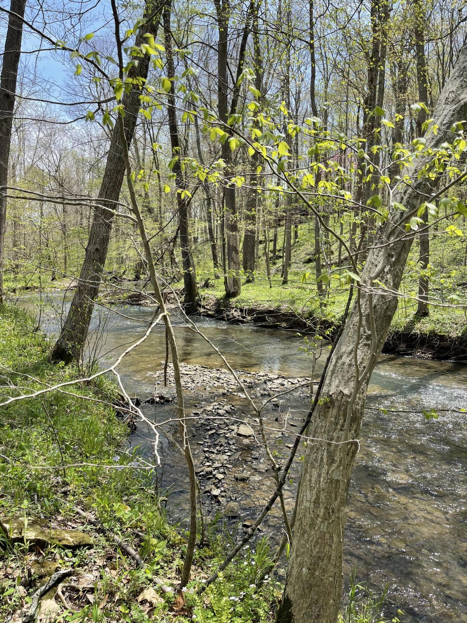 100 Horned Owl Road Bloomington, IN 47403 - Photo 16 of 60 160 ACRES - BLOOMINGTON, INDIANA