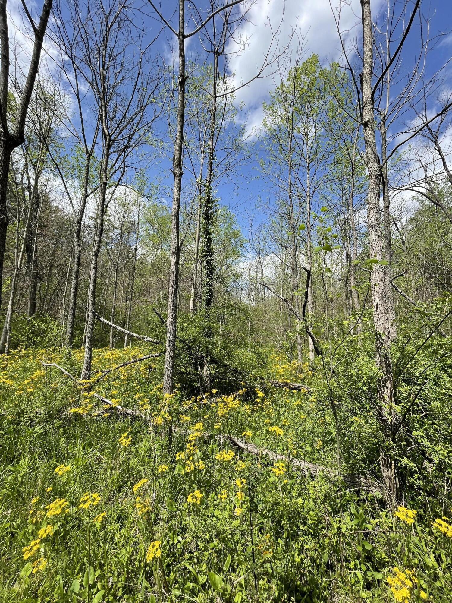 100 Horned Owl Road Bloomington, IN 47403 - Photo 21 of 60 160 ACRES - BLOOMINGTON, INDIANA