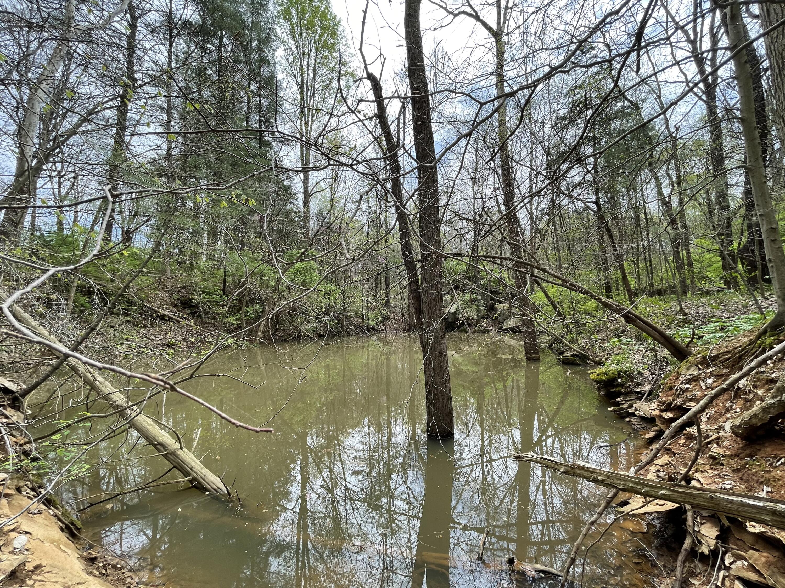 100 Horned Owl Road Bloomington, IN 47403 - Photo 22 of 60 160 ACRES - BLOOMINGTON, INDIANA