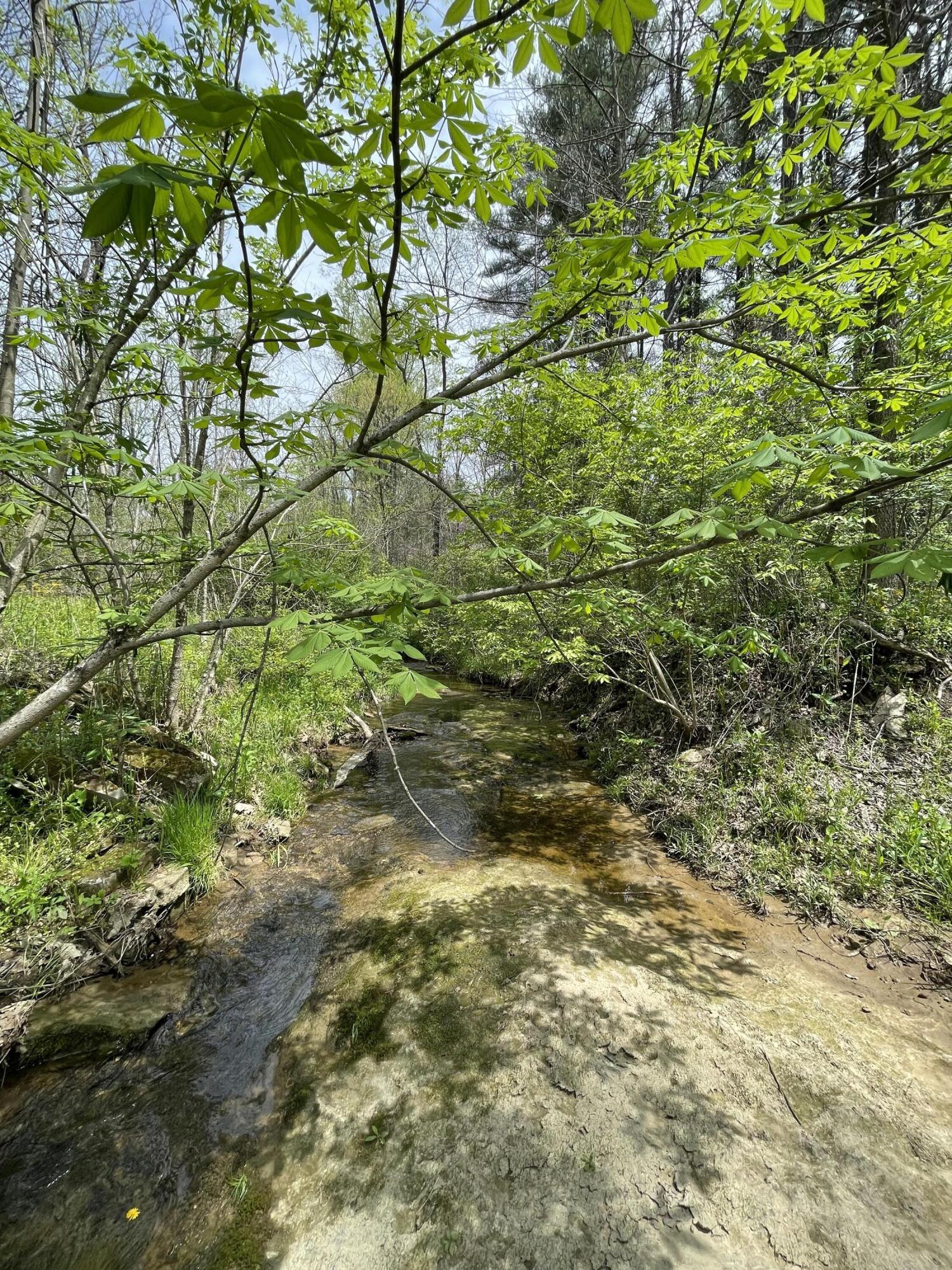 100 Horned Owl Road Bloomington, IN 47403 - Photo 23 of 60 160 ACRES - BLOOMINGTON, INDIANA