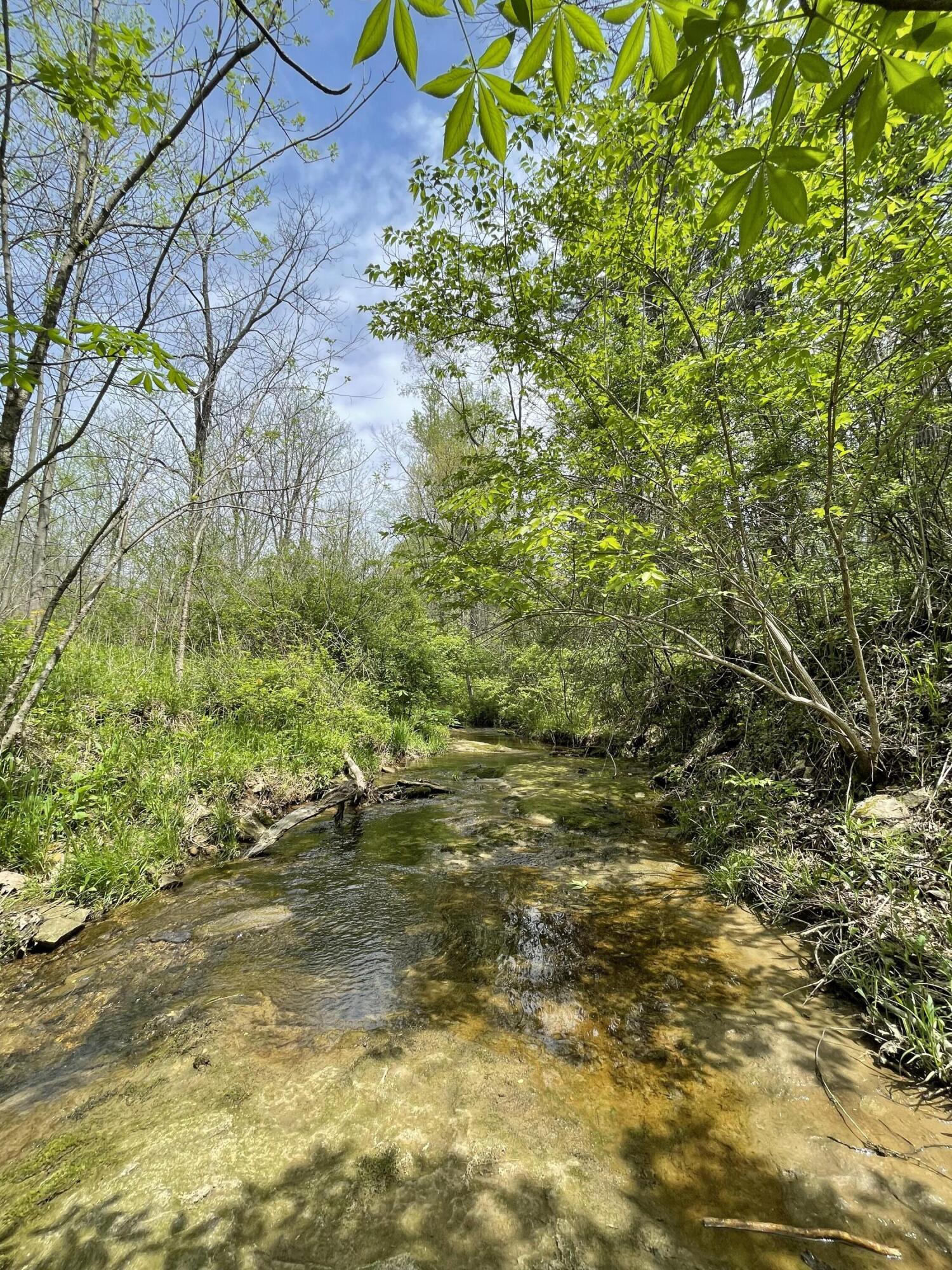 100 Horned Owl Road Bloomington, IN 47403 - Photo 25 of 60 160 ACRES - BLOOMINGTON, INDIANA
