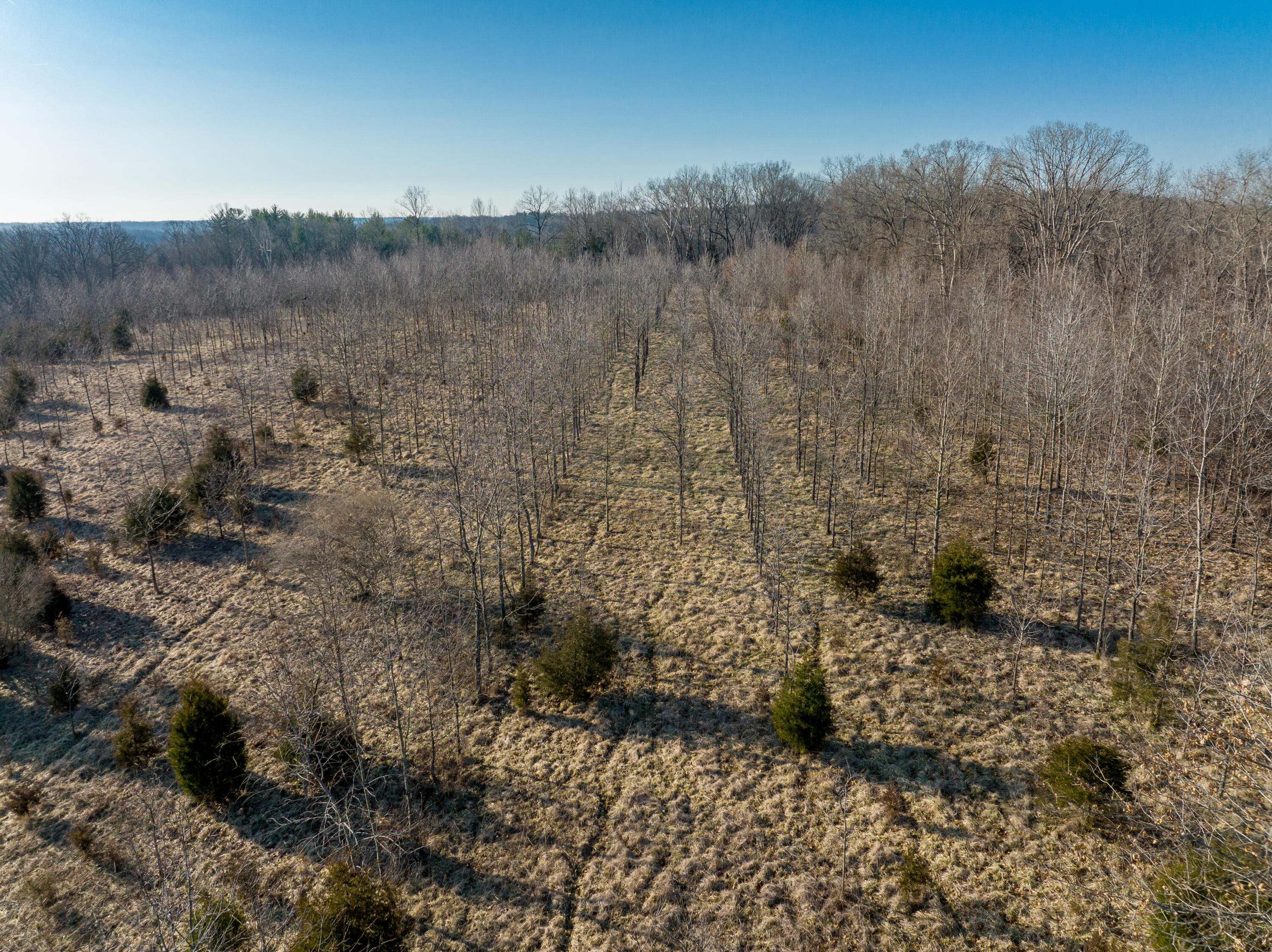 100 Horned Owl Road Bloomington, IN 47403 - Photo 32 of 60 160 ACRES - BLOOMINGTON, INDIANA