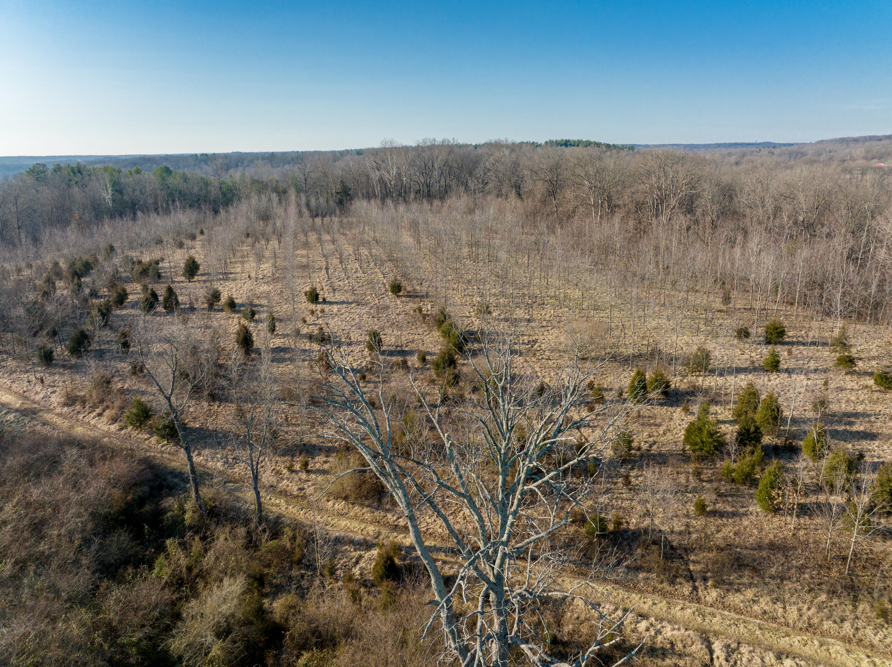 100 Horned Owl Road Bloomington, IN 47403 - Photo 34 of 60 160 ACRES - BLOOMINGTON, INDIANA