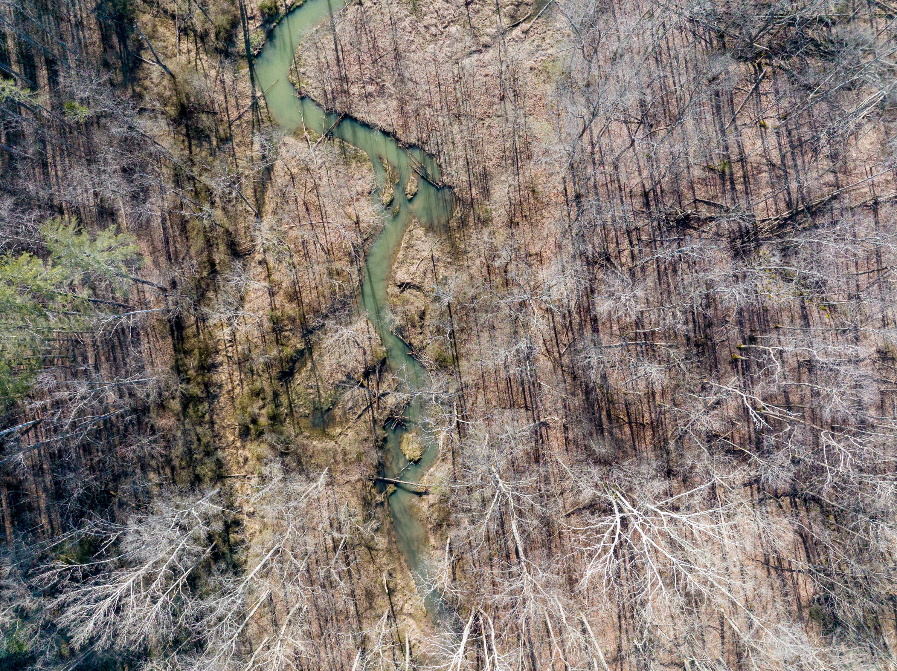100 Horned Owl Road Bloomington, IN 47403 - Photo 50 of 60 160 ACRES - BLOOMINGTON, INDIANA