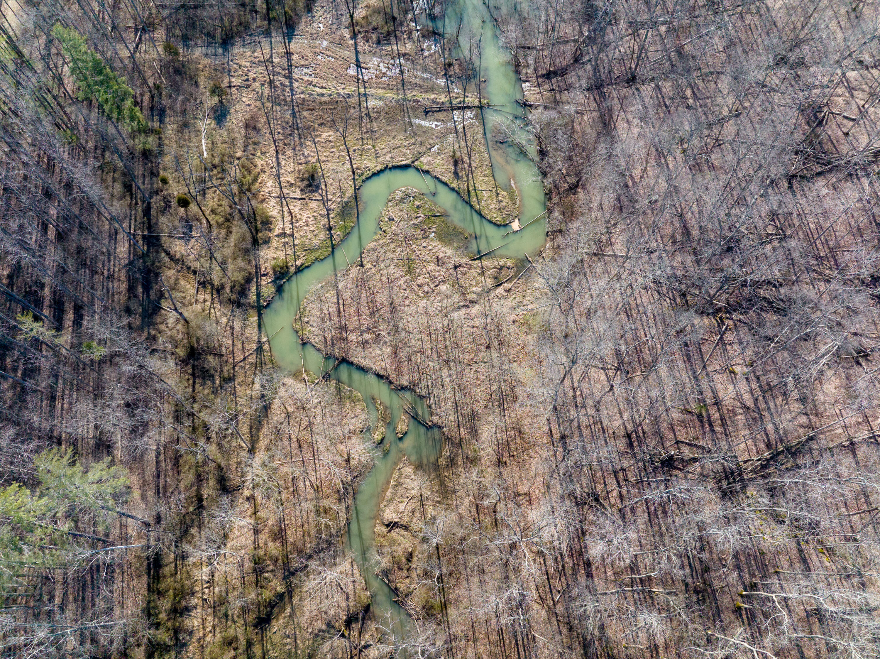 100 Horned Owl Road Bloomington, IN 47403 - Photo 51 of 60 160 ACRES - BLOOMINGTON, INDIANA
