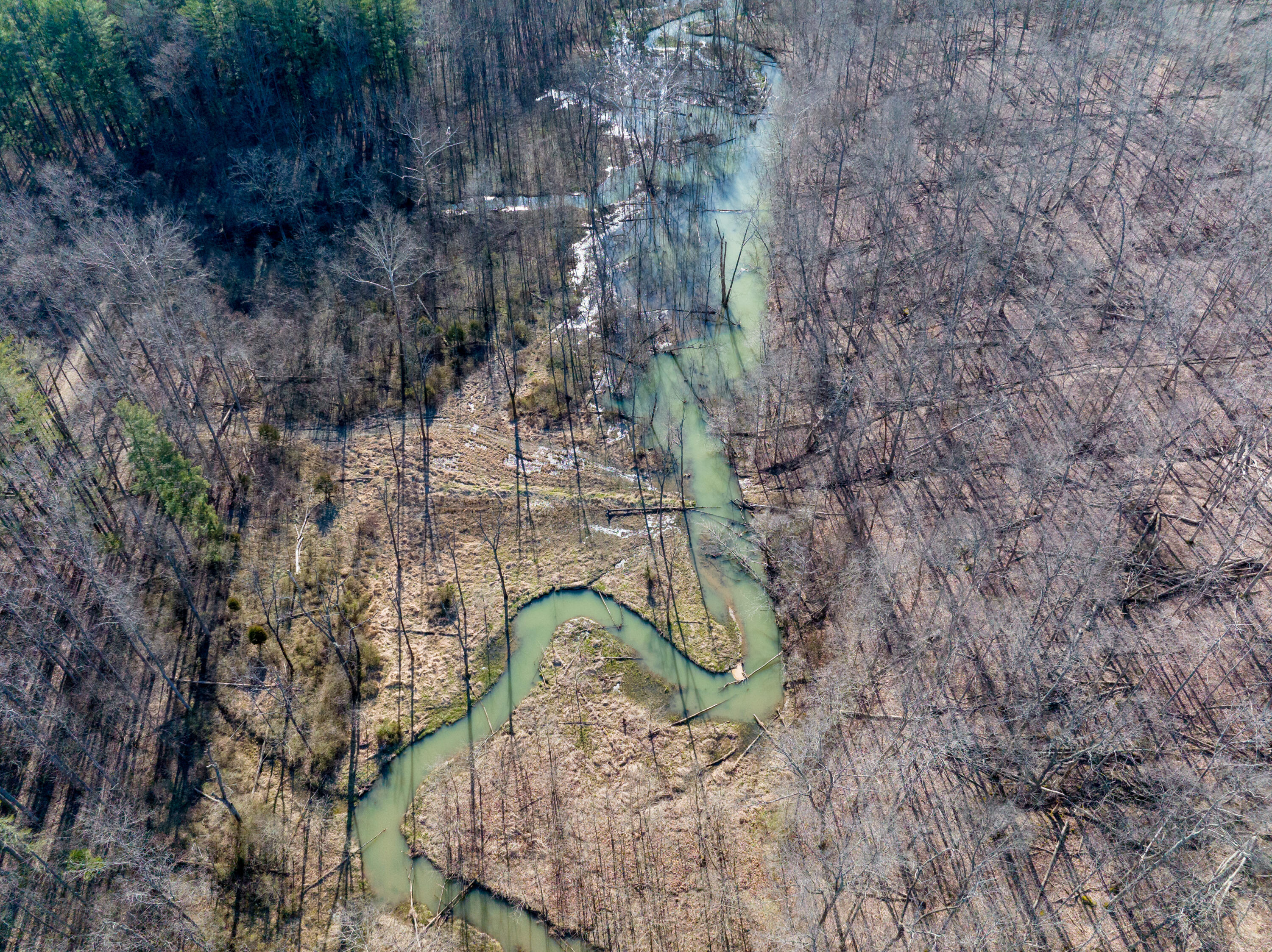 100 Horned Owl Road Bloomington, IN 47403 - Photo 52 of 60 160 ACRES - BLOOMINGTON, INDIANA