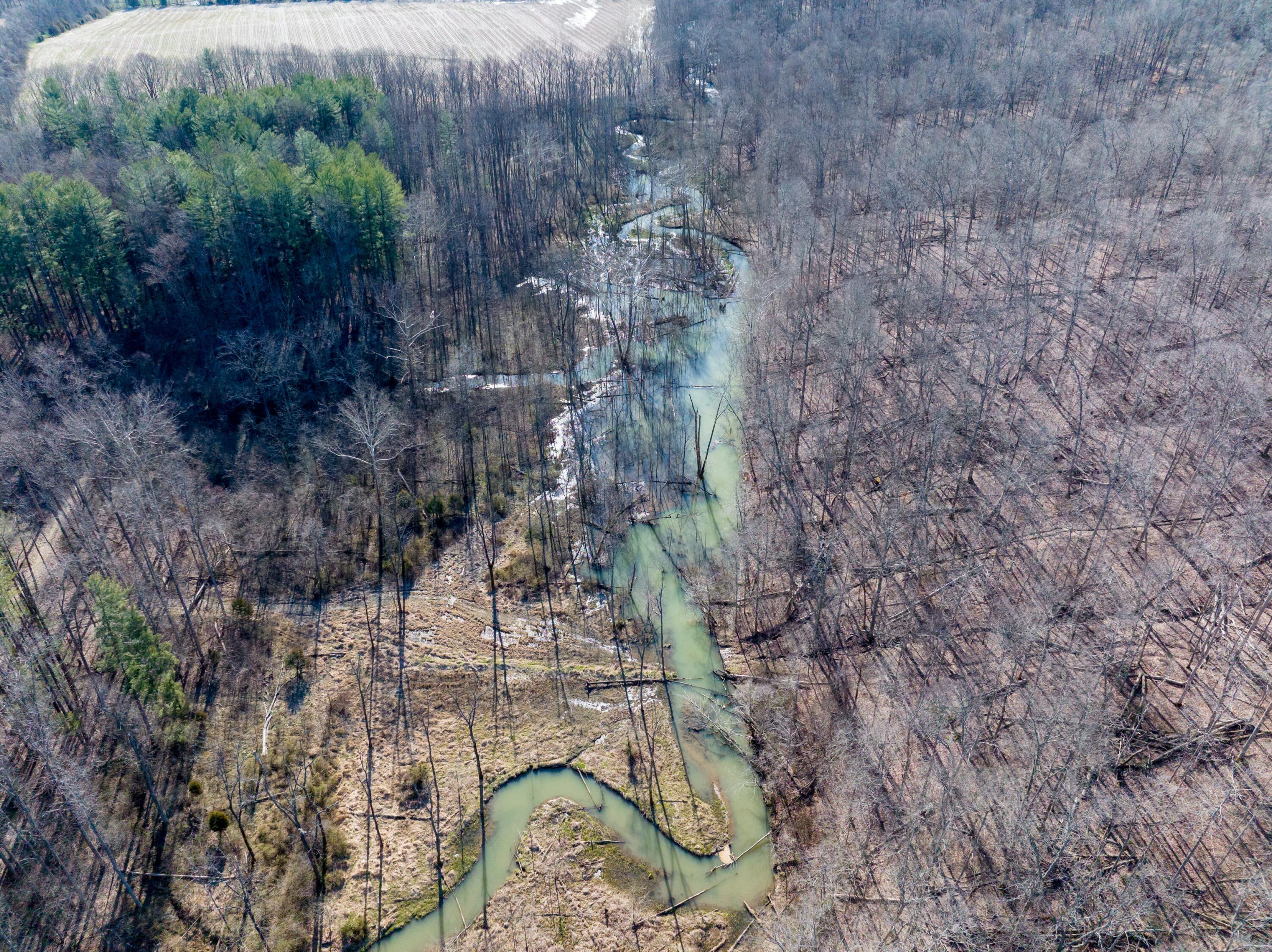 100 Horned Owl Road Bloomington, IN 47403 - Photo 53 of 60 160 ACRES - BLOOMINGTON, INDIANA