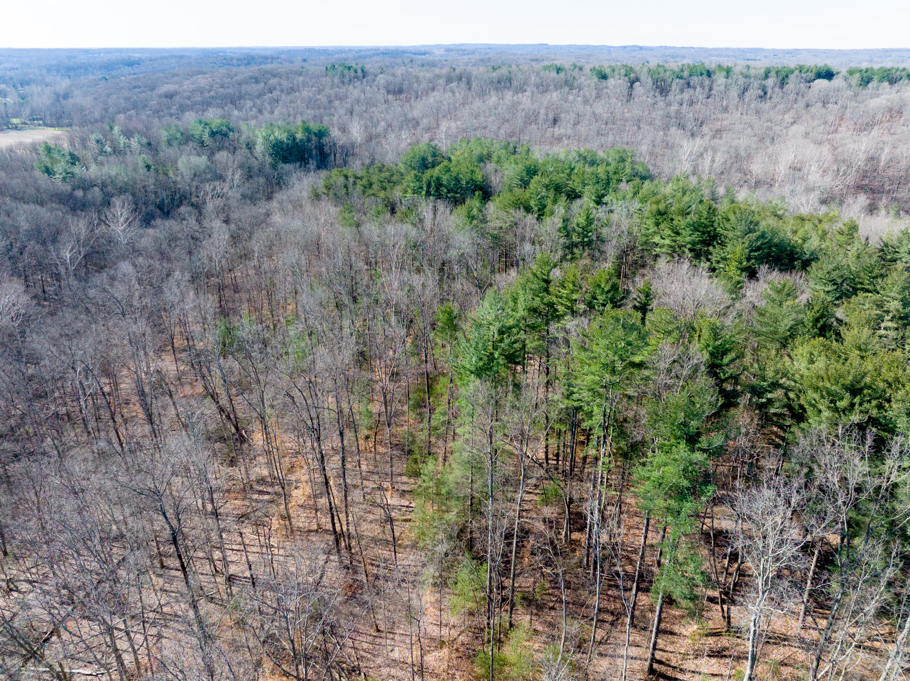 100 Horned Owl Road Bloomington, IN 47403 - Photo 55 of 60 160 ACRES - BLOOMINGTON, INDIANA