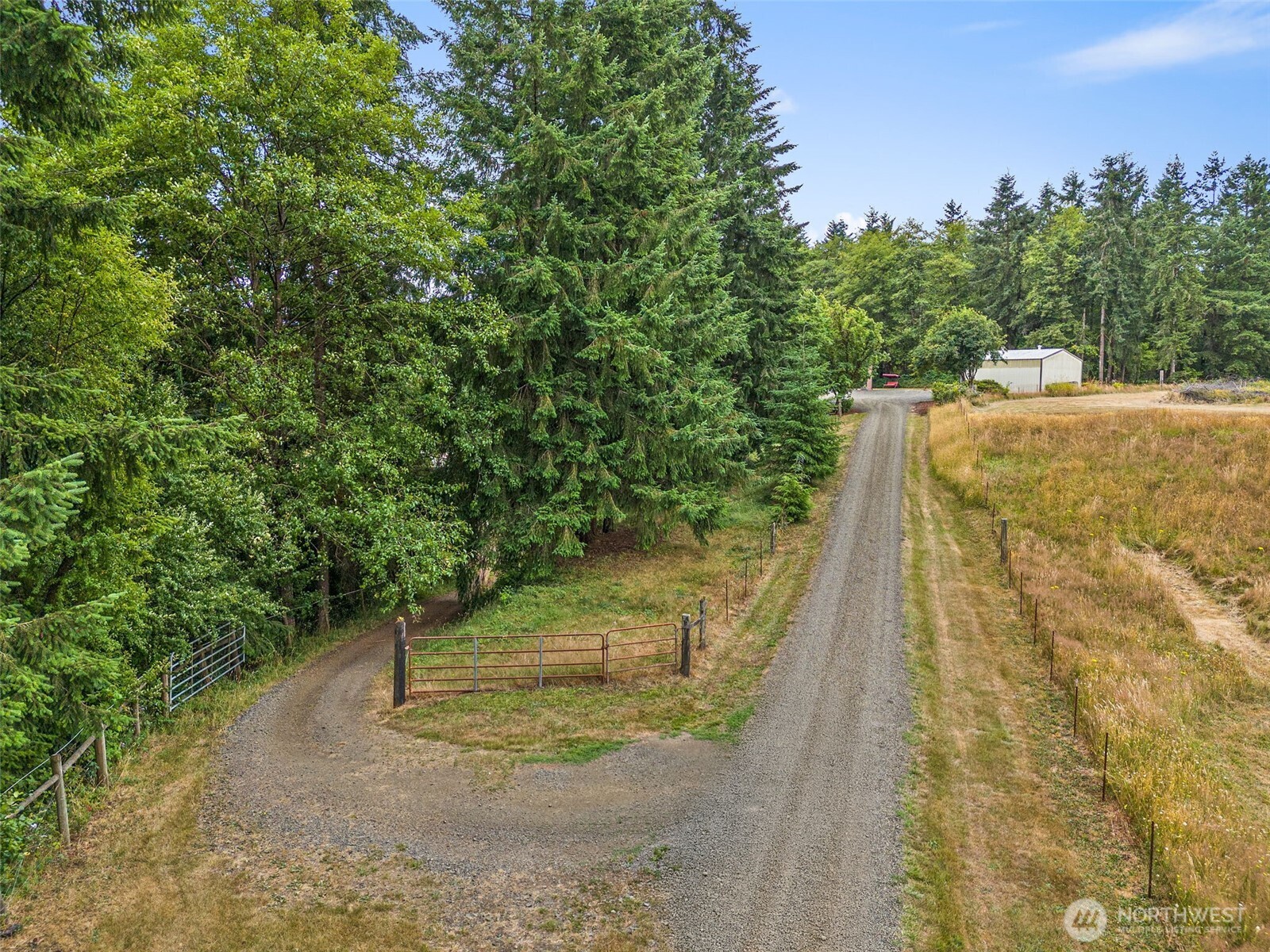 1142 SR 6 Raymond, WA 98577 - Photo 3 of 40 a view of a yard with some trees