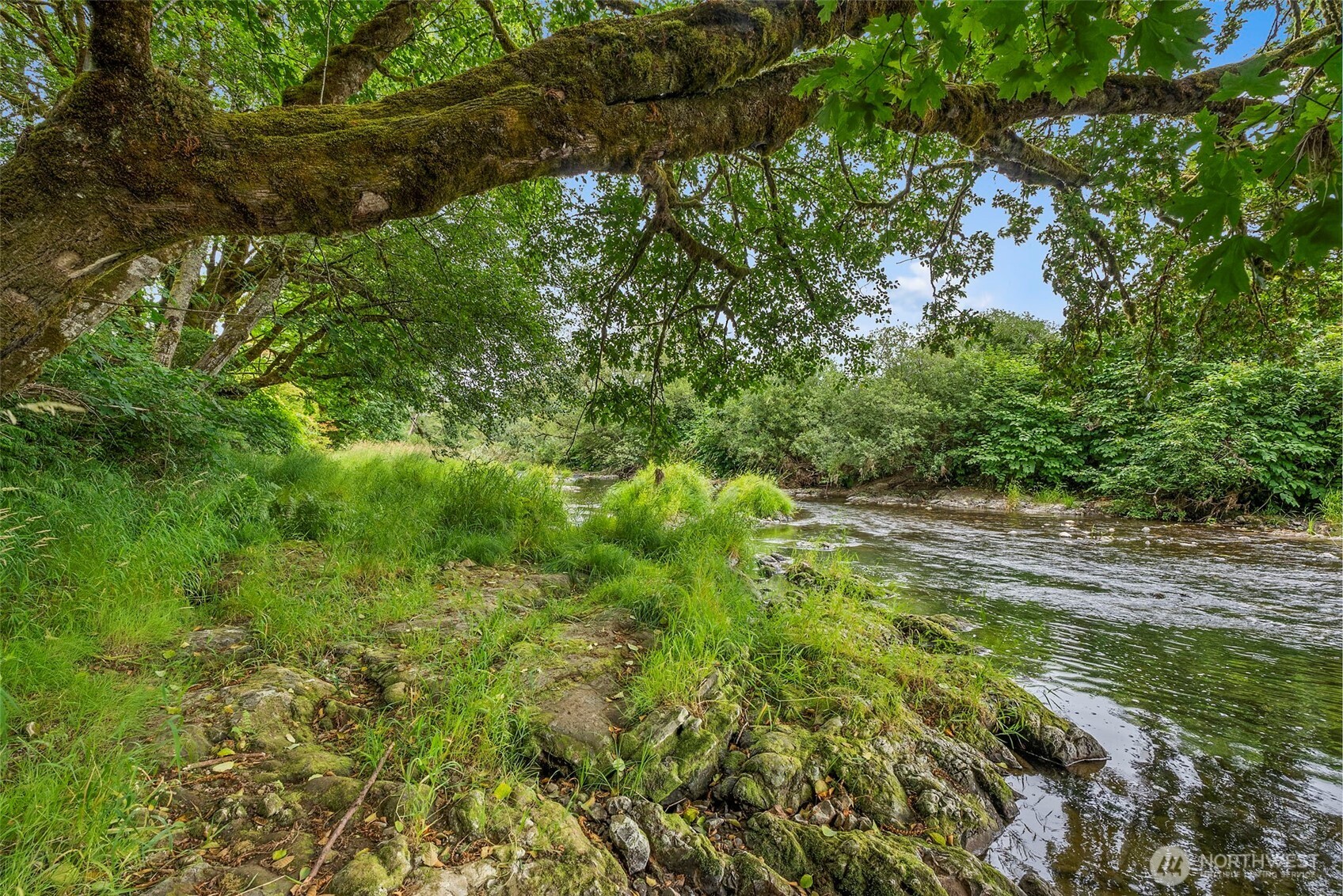 1142 SR 6 Raymond, WA 98577 - Photo 36 of 40 a view of a lush green space