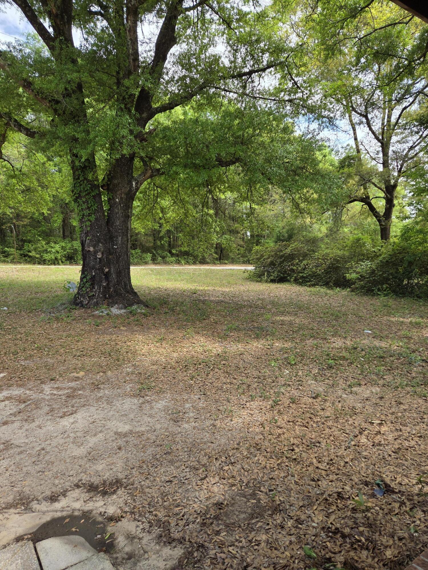 170 Ridge Lake Road Crestview, FL 32536 - Photo 19 of 23 20260408_135157 (1)
