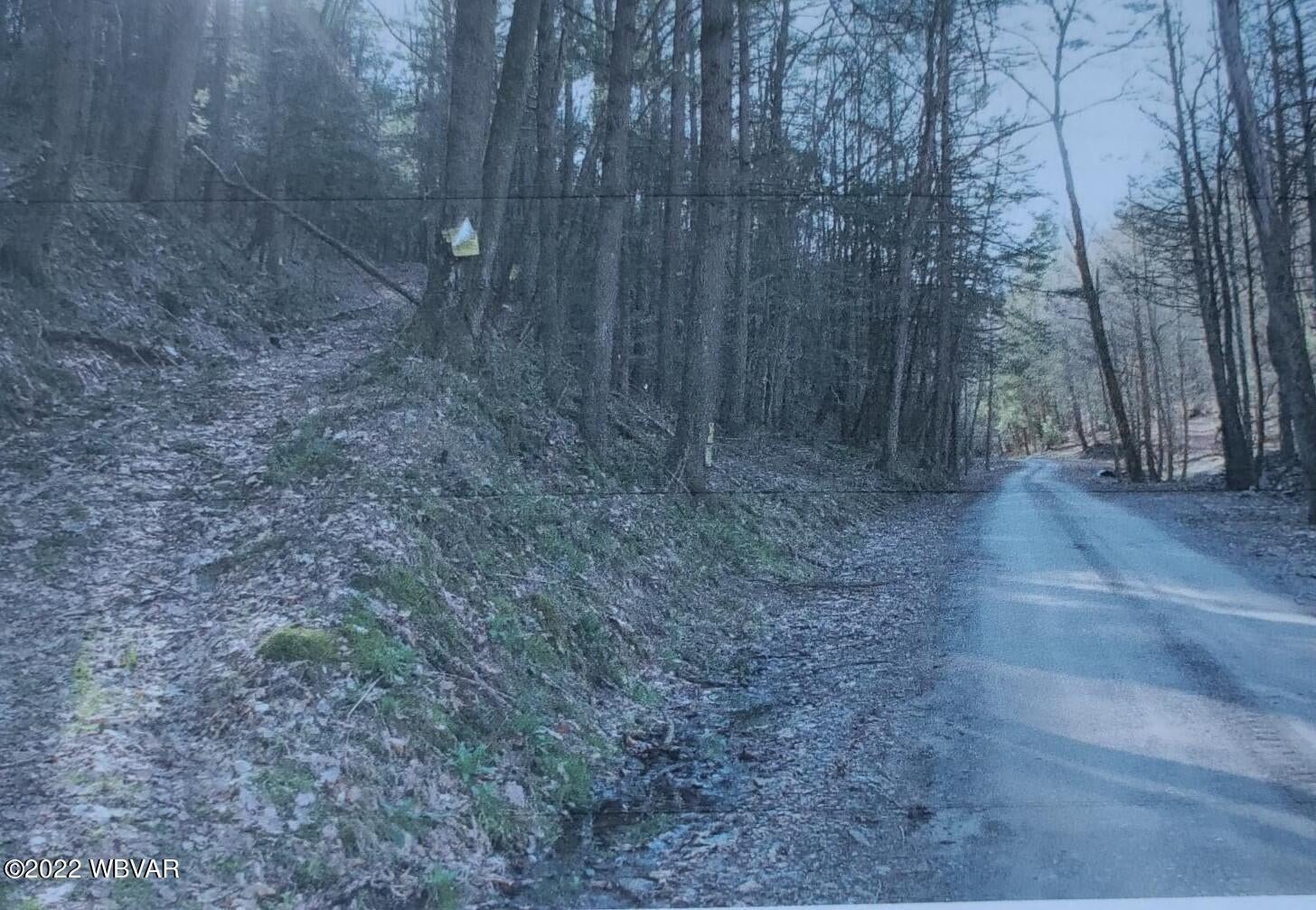Turkey Bottom Road Muncy, PA 17756 - Photo 1 of 10 Gallery Image 1