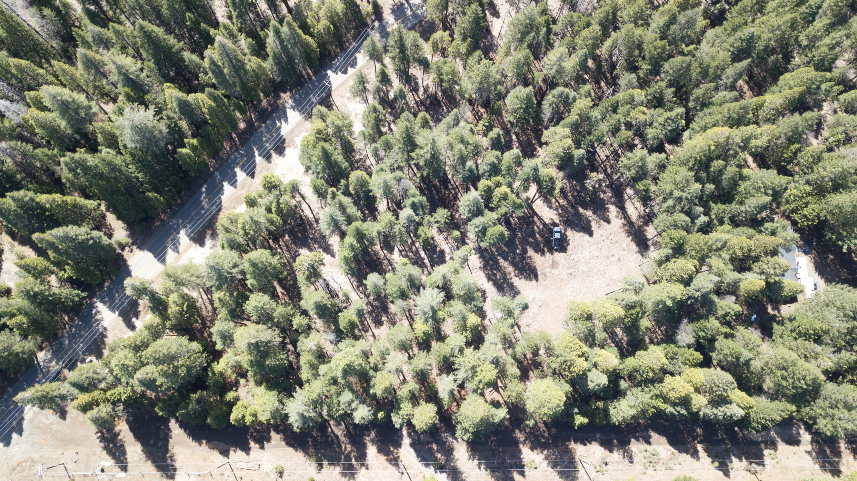 McCumber Lk Road Shingletown, CA 96088 - Photo 20 of 32 tempImagejGQqaq