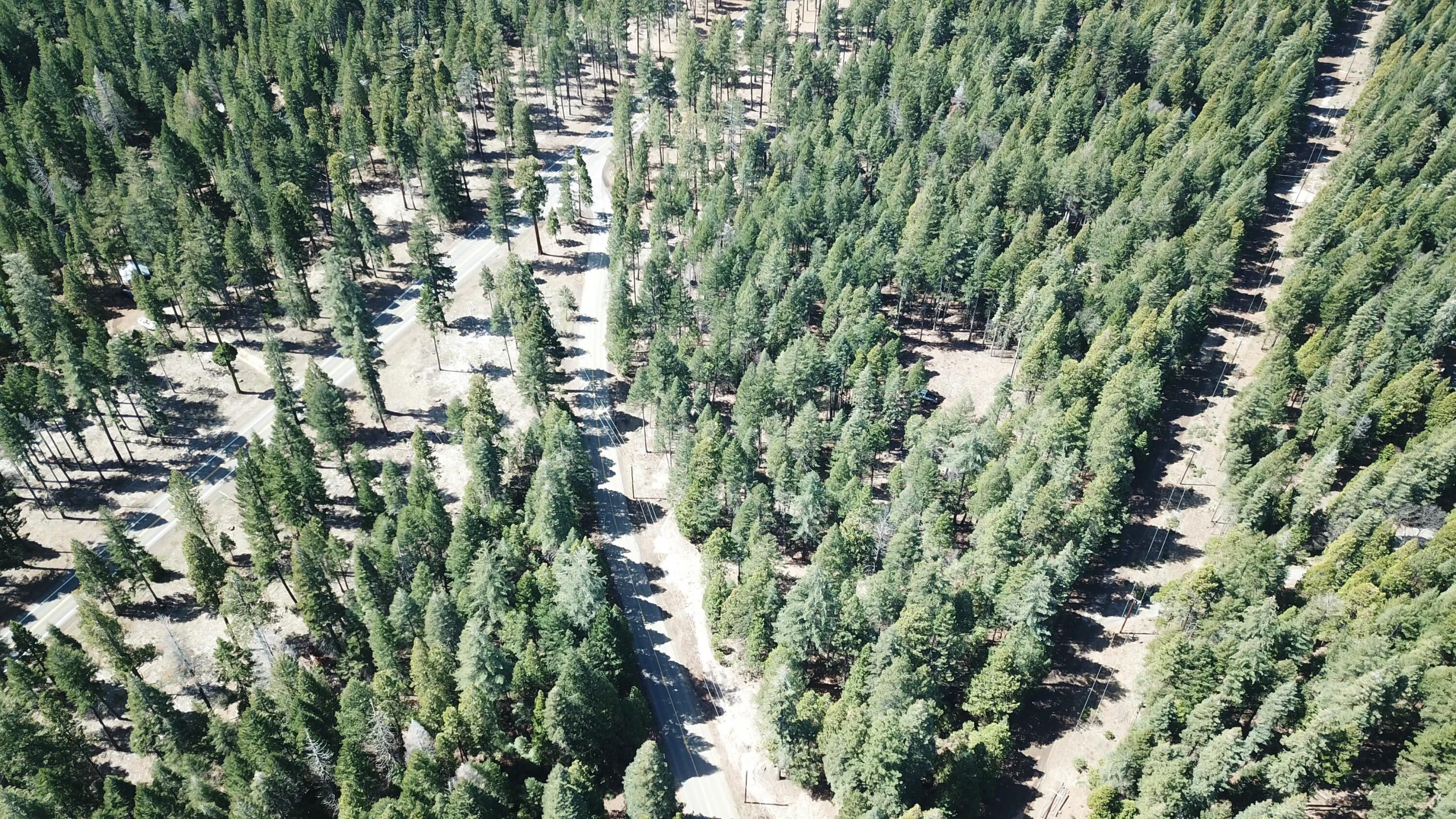McCumber Lk Road Shingletown, CA 96088 - Photo 23 of 32 tempImagedvEZwH