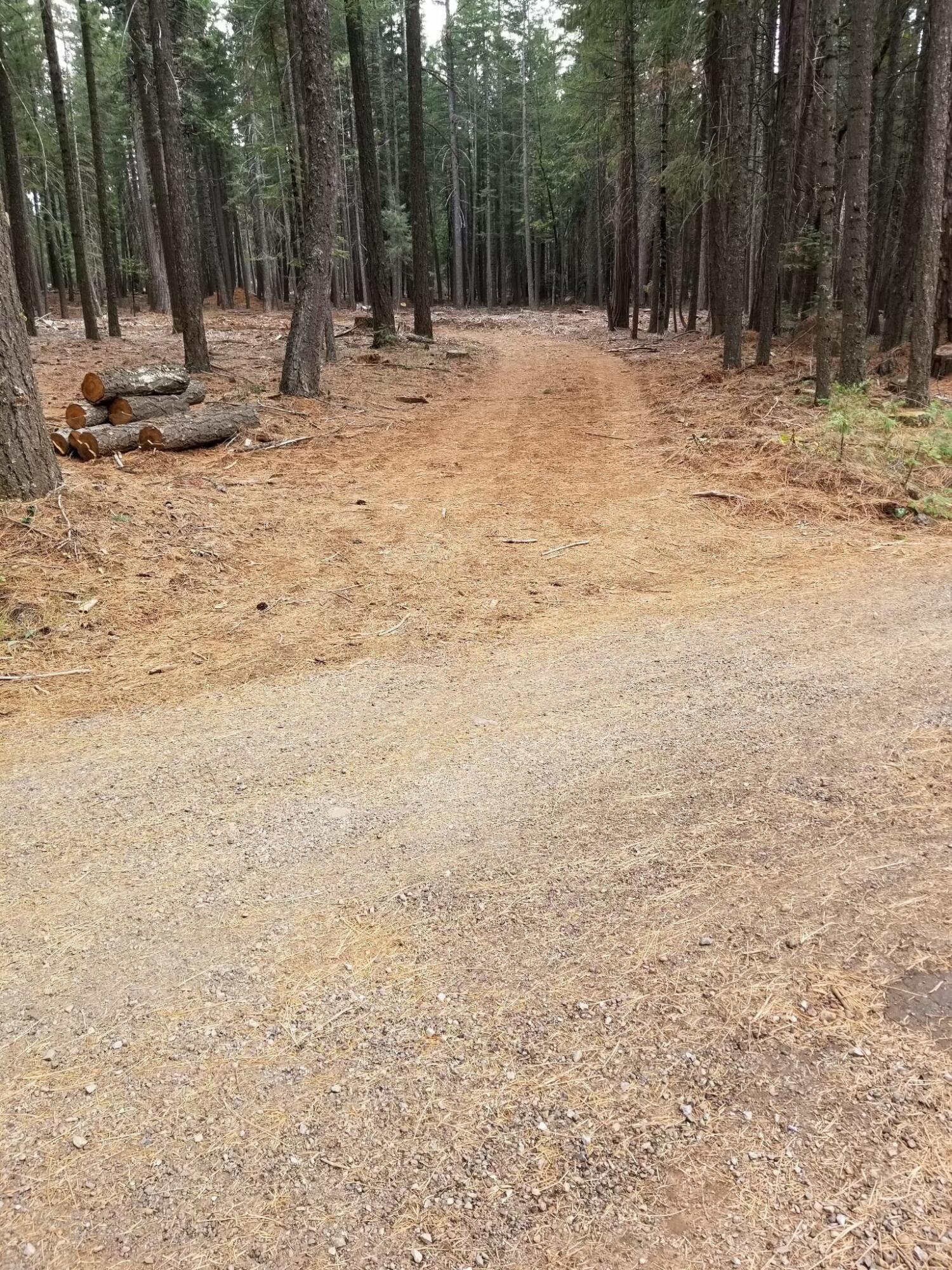 McCumber Lk Road Shingletown, CA 96088 - Photo 3 of 32 tempImage3JMFLZ
