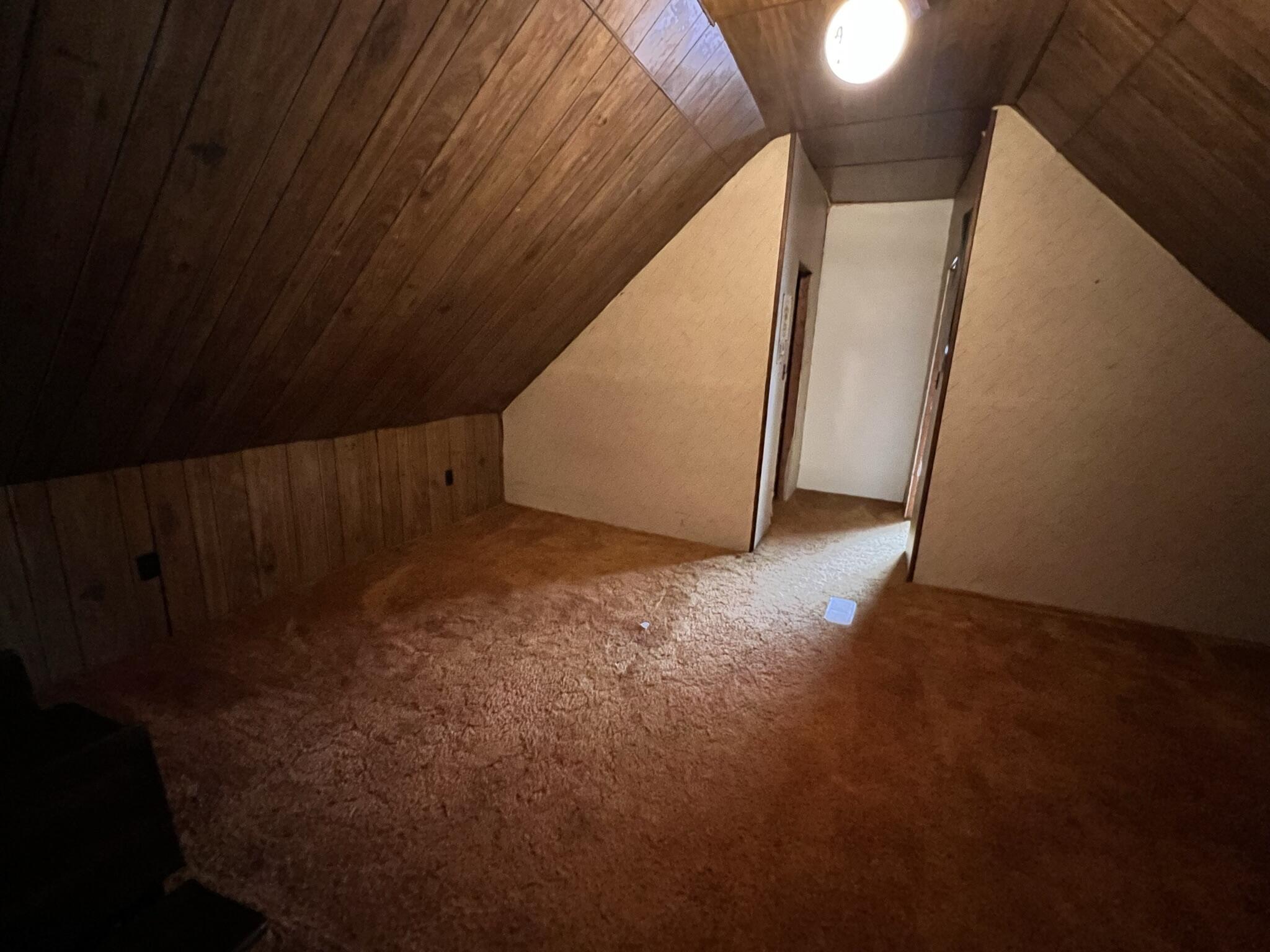 6971 West Burt Road Camden, MI 49232 - Photo 32 of 53 6971 W Burt (26)