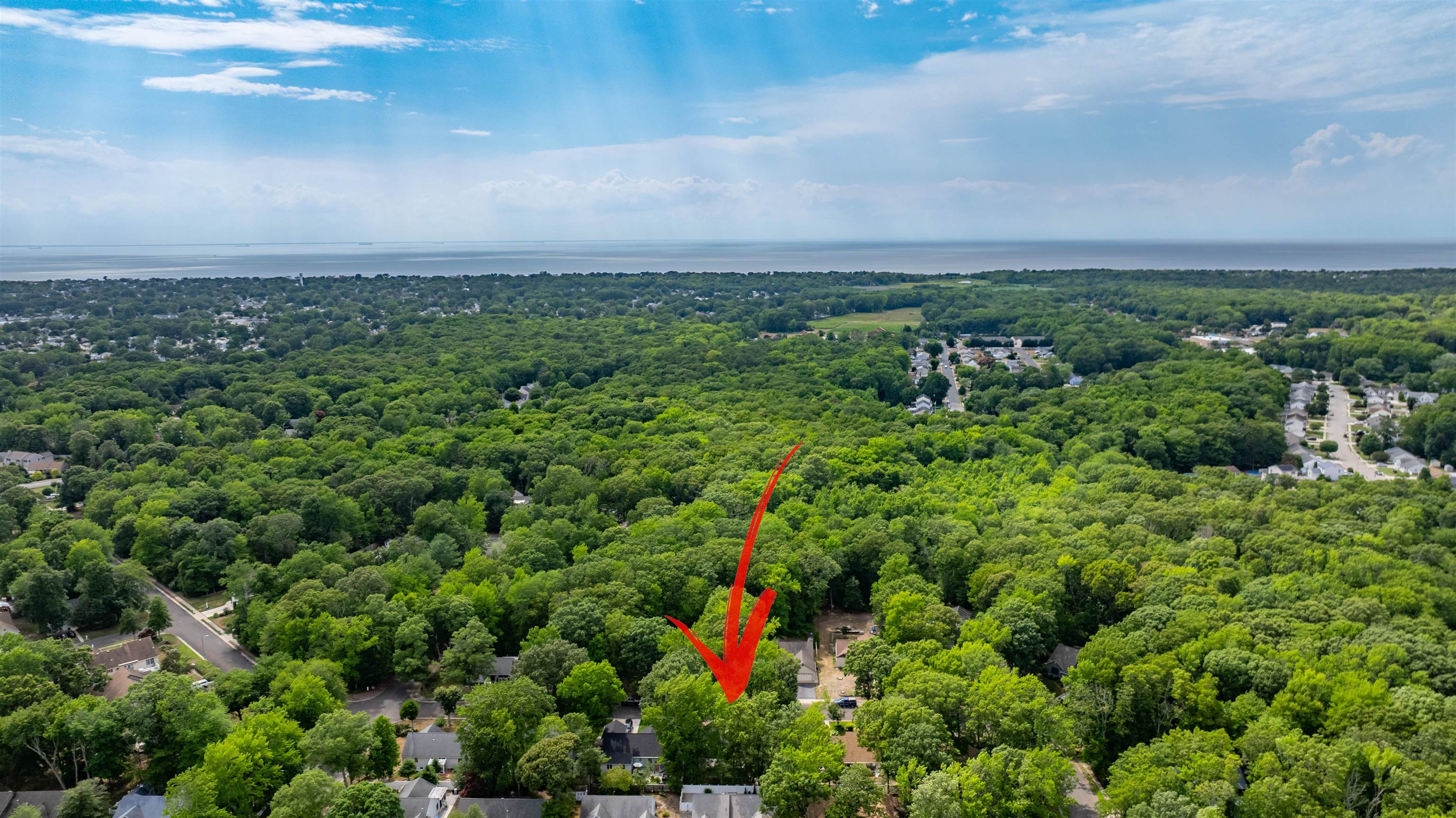 62 Capewoods Road North Cape May, NJ 08204 - Photo 45 of 47 Gallery Image 45