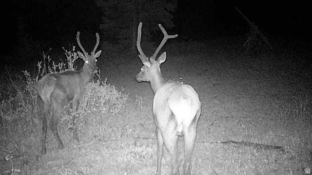 123 Tbd Monroe Canyon Road Monroe, UT 84754 - Photo 29 of 92 Image quality insufficient for description