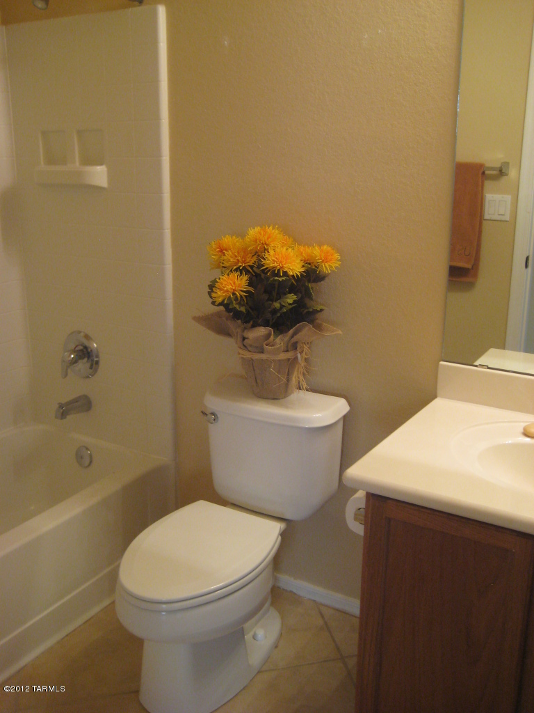 480 East Greg Rock Road Vail, AZ 85641 - Photo 12 of 16