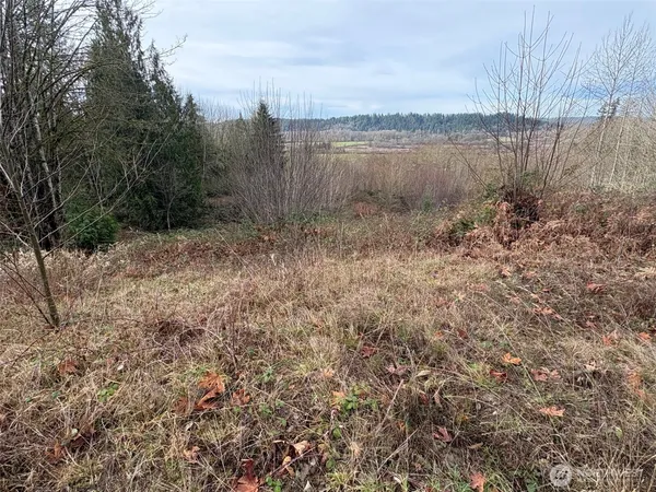 a view of a lake from a yard