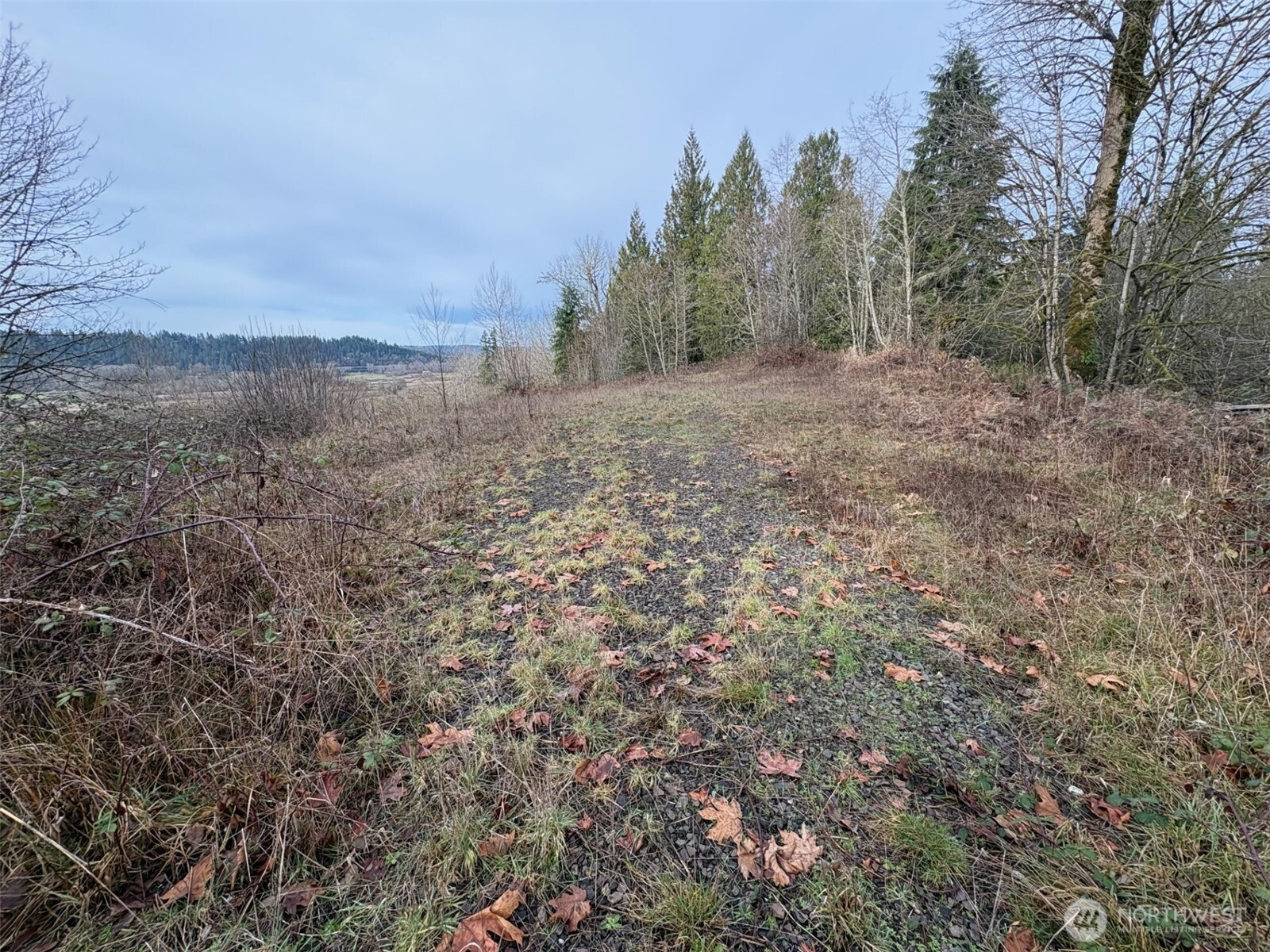 32950 Northeast 70th Street Carnation, WA 98014 - Photo 2 of 7