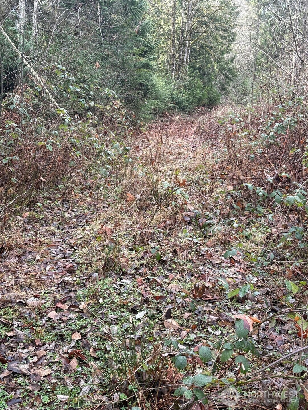 32950 Northeast 70th Street Carnation, WA 98014 - Photo 5 of 7