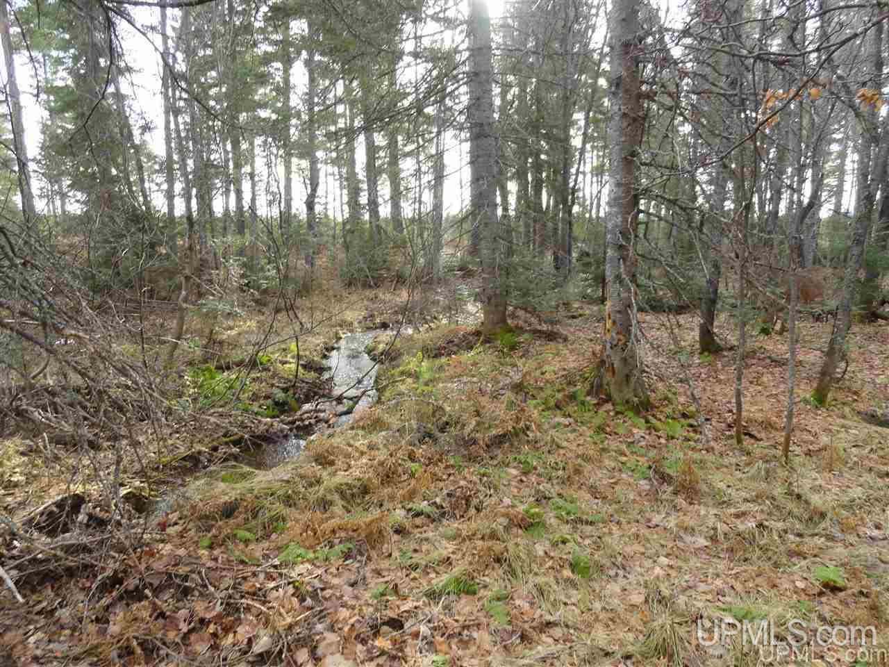 80-acres 80-acres Co Road Negaunee, MI 49866 - Photo 41 of 45