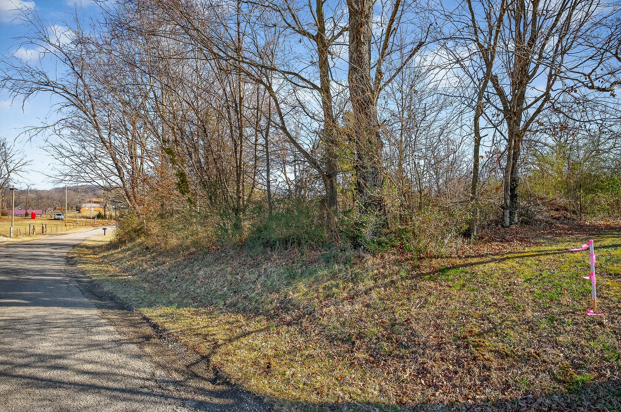 0 Mike Muncey Road McMinnville, TN 37110 - Photo 2 of 7 a view of a yard with an trees