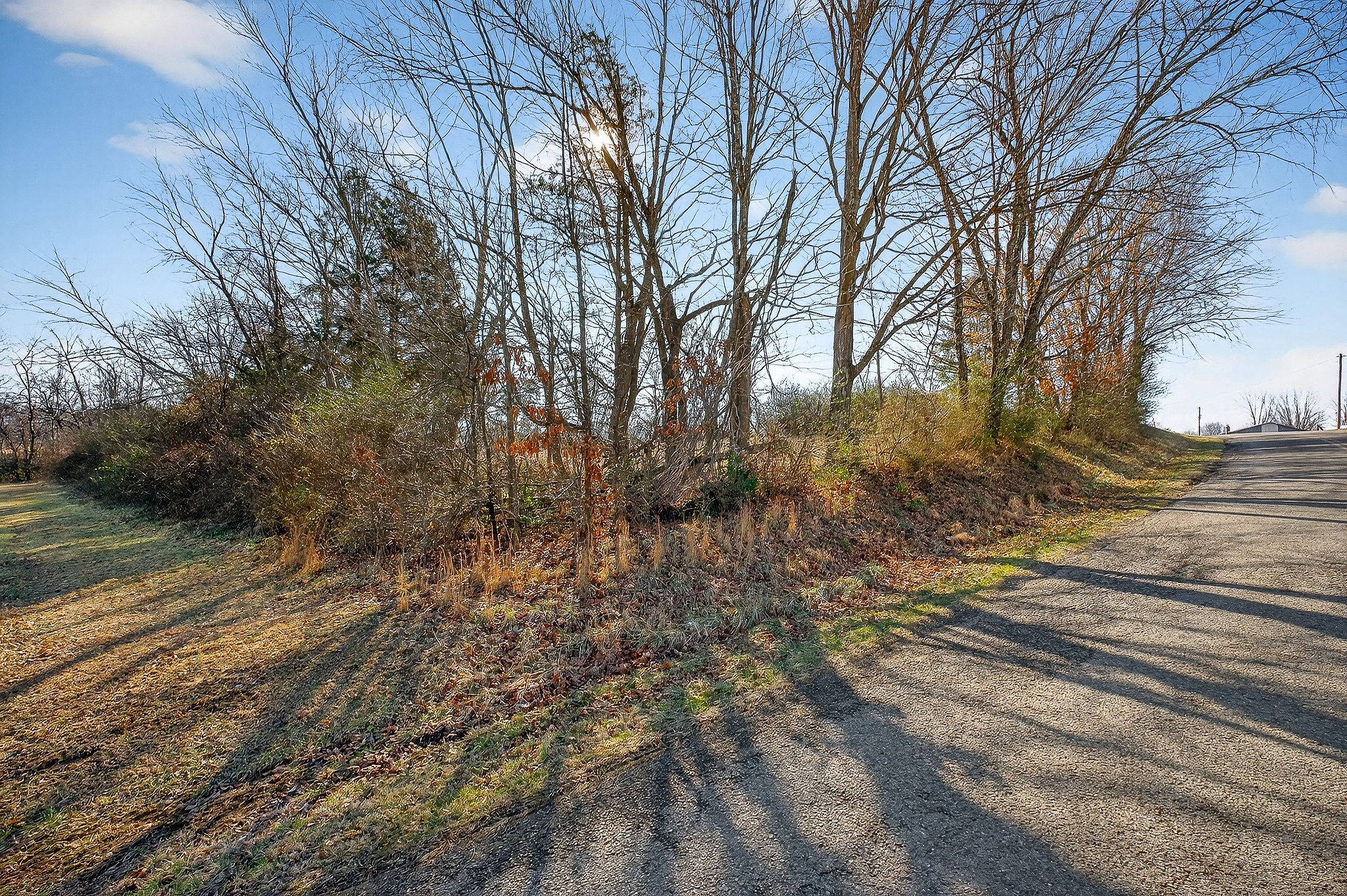 0 Mike Muncey Road McMinnville, TN 37110 - Photo 3 of 7 a view of road with large trees