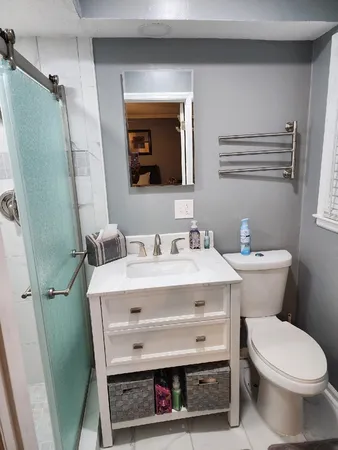 a bathroom with a sink a toilet and mirror