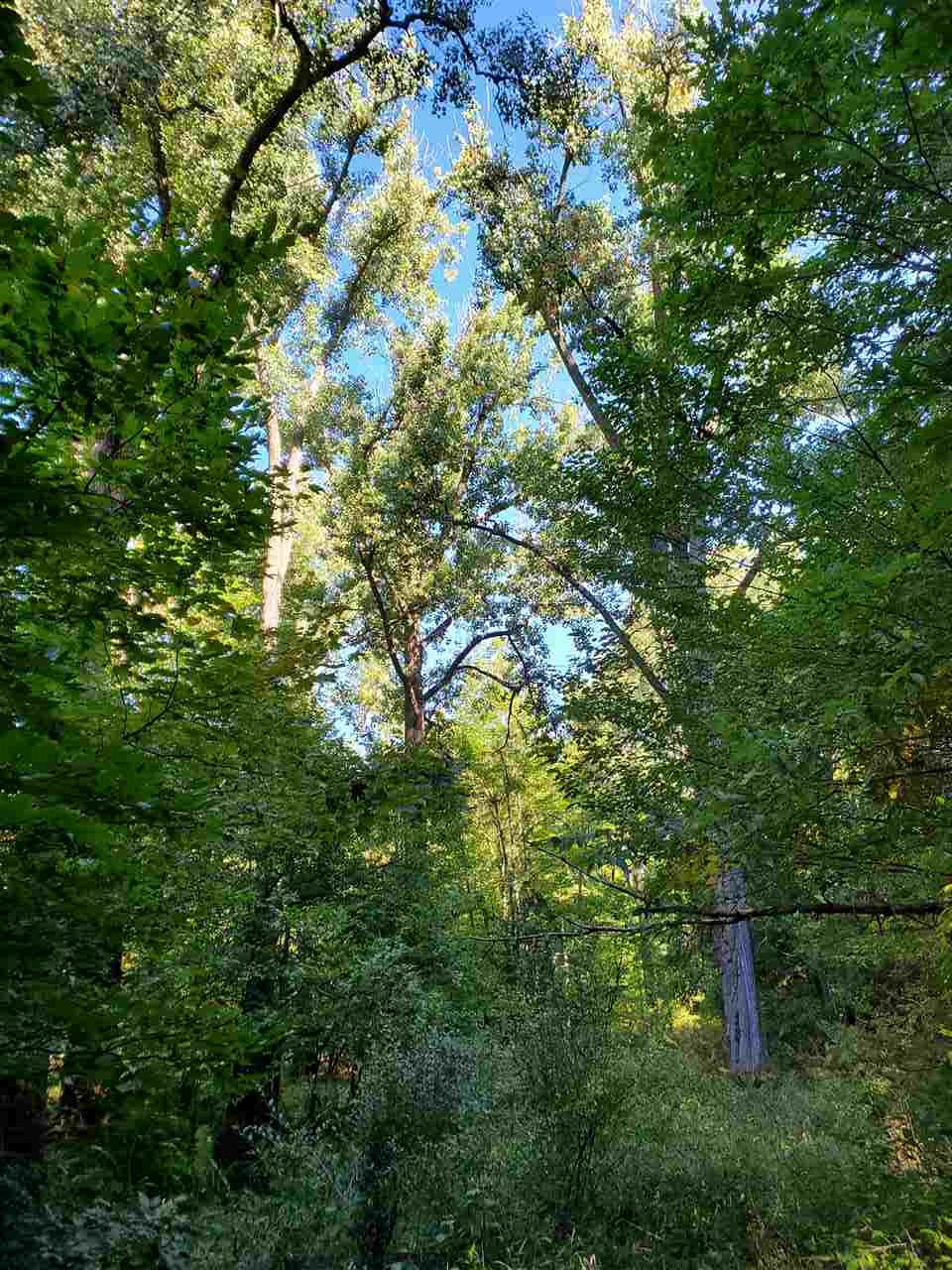 West Fike Road Coleman, MI 48618 - Photo 12 of 26