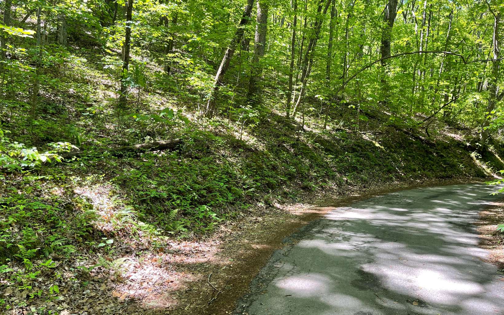 0 Coon Cove Road Hiawassee, GA 30546 - Photo 2 of 2 Additional View