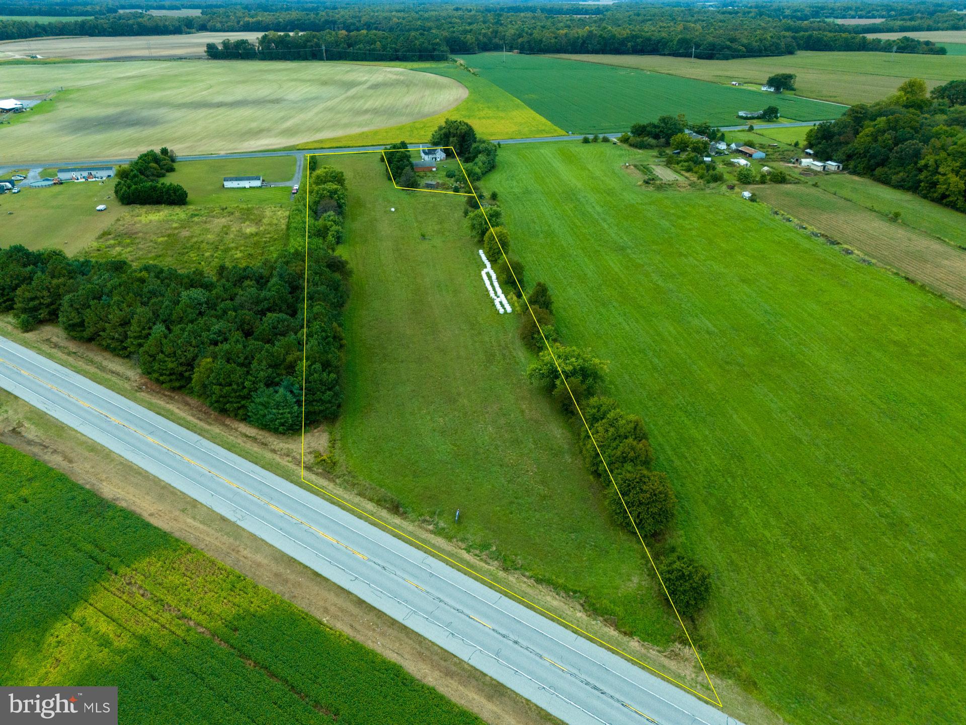 26220 Auction Road Federalsburg, MD 21632 - Photo 4 of 18 Lot lines approx. for illustration purposes only