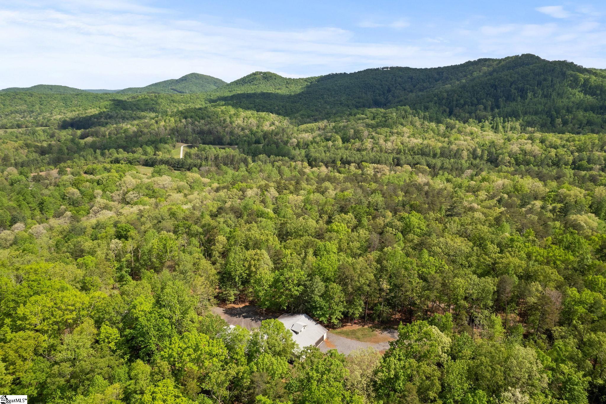 181 Cherokee Hill Ridge Road Pickens, SC 29671 - Photo 46 of 47