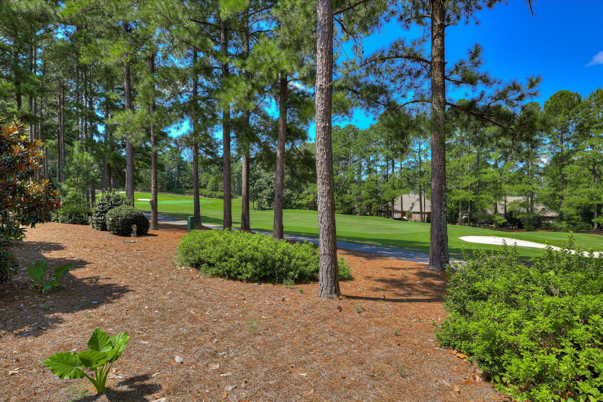 252 Forest Pines Road Aiken, SC 29803 - Photo 45 of 48 Gallery Image 45