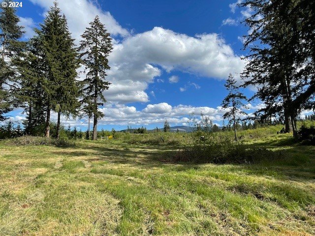 27053 South Shibley Road Colton, OR 97017 - Photo 16 of 18