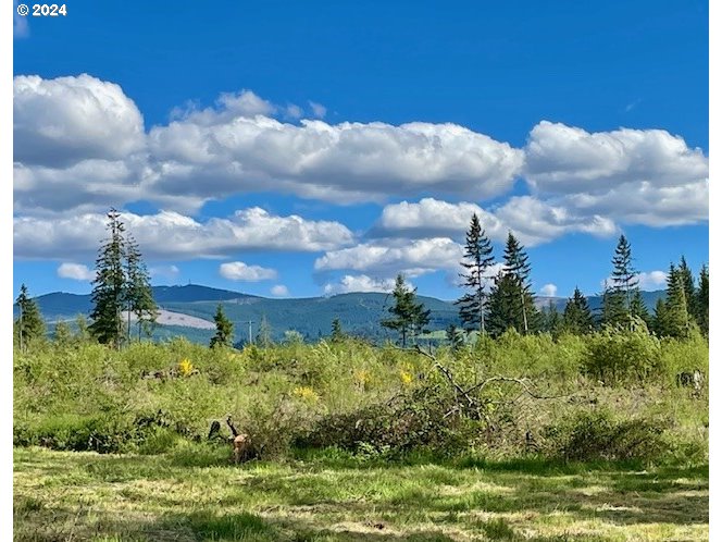 27053 South Shibley Road Colton, OR 97017 - Photo 5 of 18