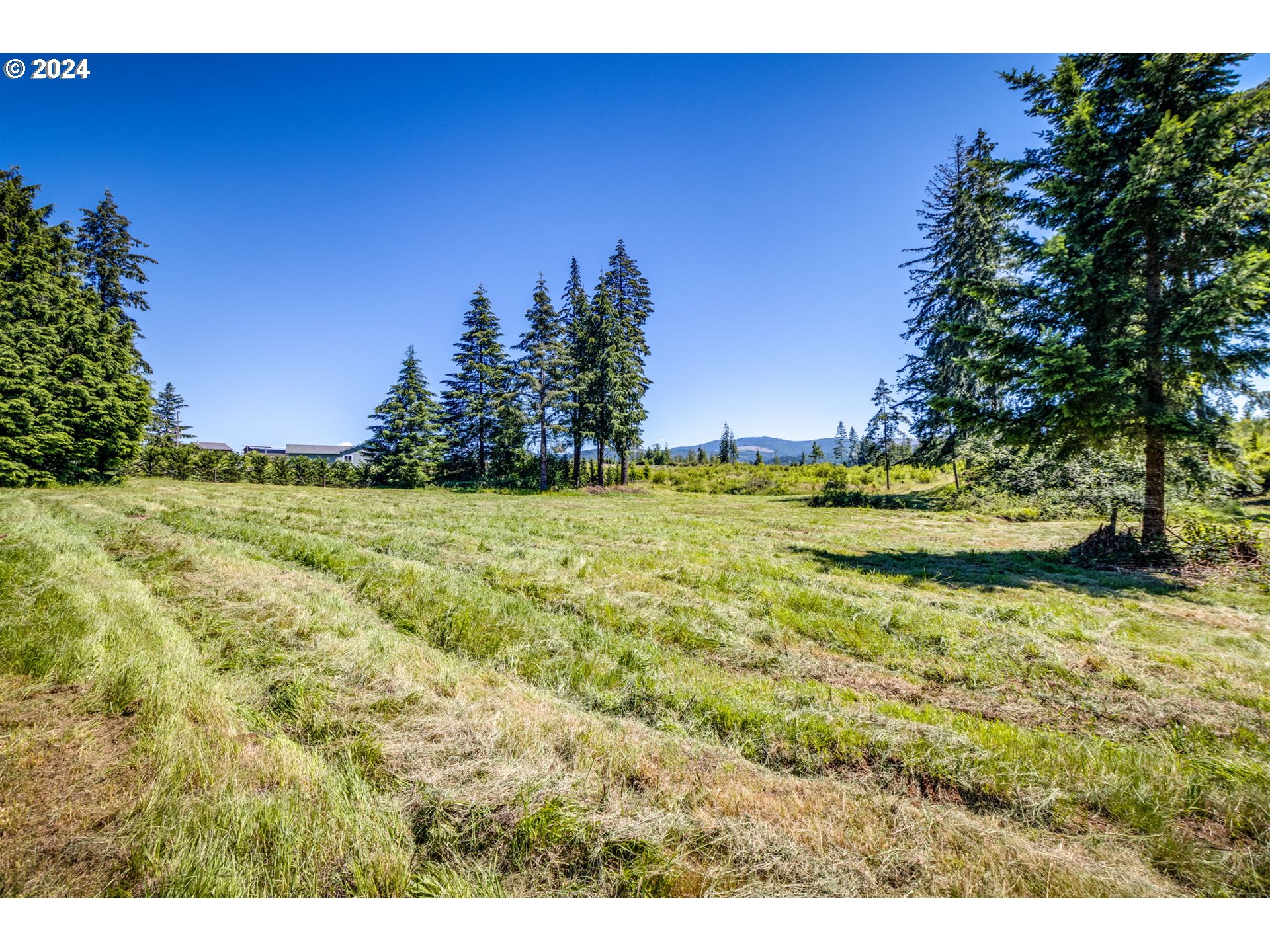 27053 South Shibley Road Colton, OR 97017 - Photo 7 of 18
