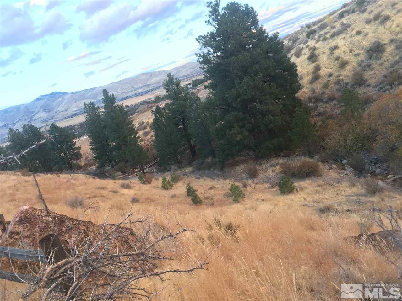 70 Lonepine Court, Unit 767 Reno, NV 89519 - Photo 7 of 7 a view of a yard with a tree