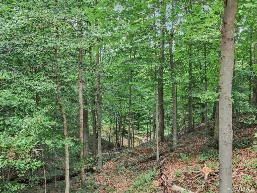 7910 Beach Road Chesterfield, VA 23832 - Photo 45 of 48 View of the Creek