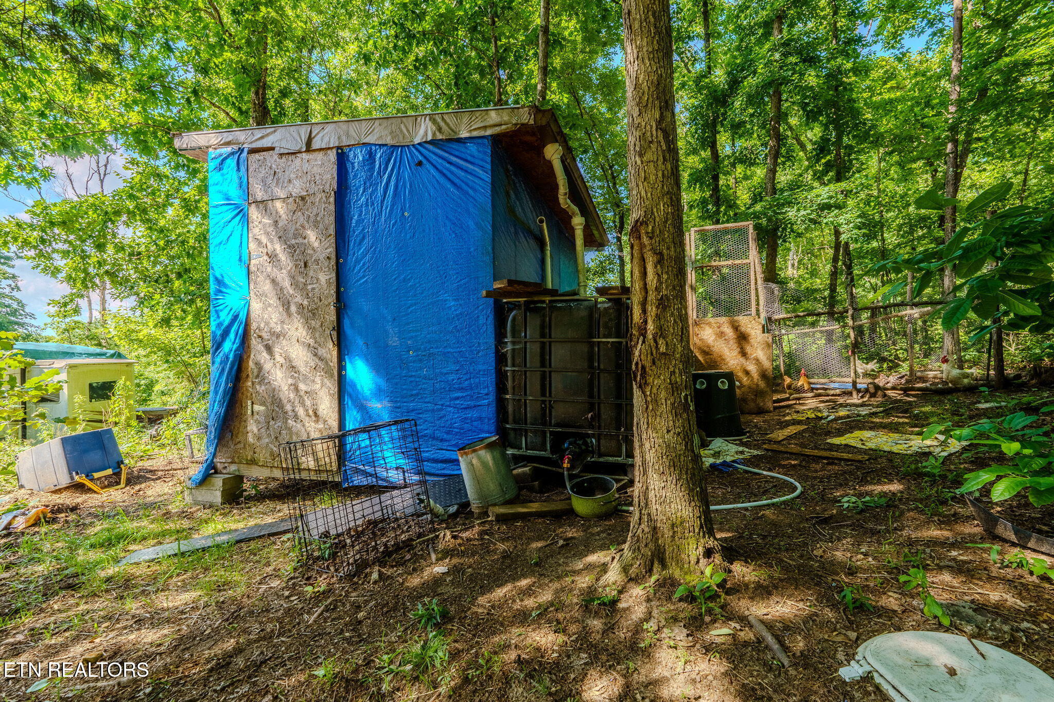 1360 Illuminary Firetower Road, Unit 9 Spring City, TN 37381 - Photo 20 of 30 2-web-or-mls-_DSC2163-HDR