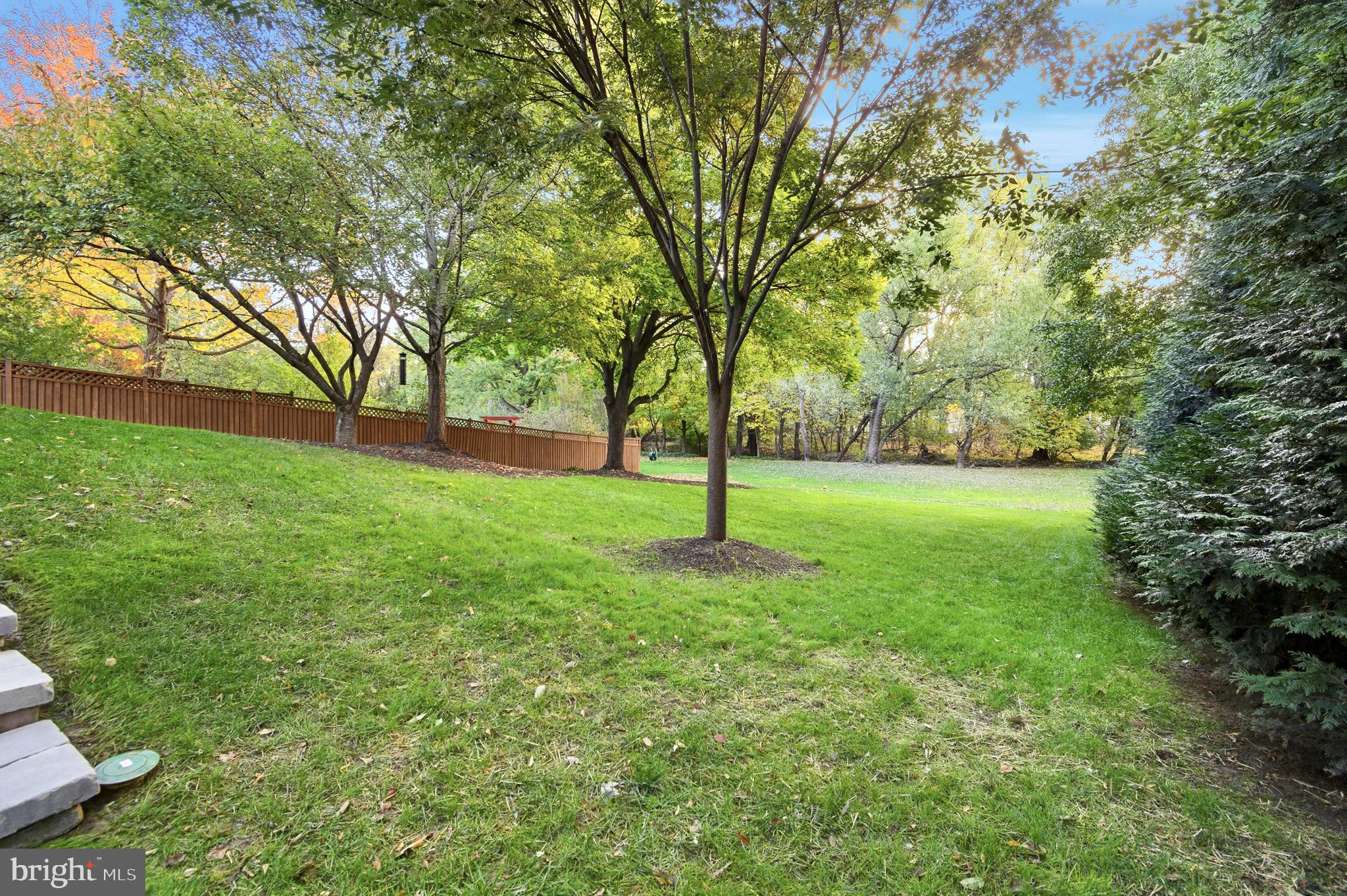 4705 Ilkley Moor Lane Ellicott City, MD 21043 - Photo 55 of 69 a view of a field with tree in front of it