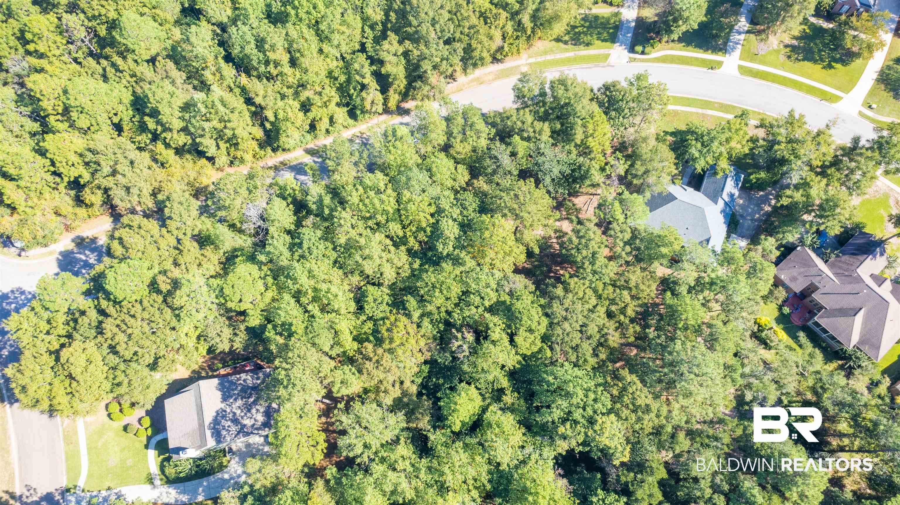 30460 Dolive Ridge Daphne, AL 36527 - Photo 3 of 12