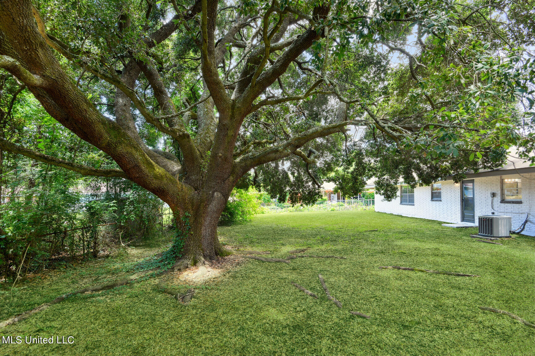 2219 Switzer Road Gulfport, MS 39507 - Photo 14 of 27 Backyard Oak Tree