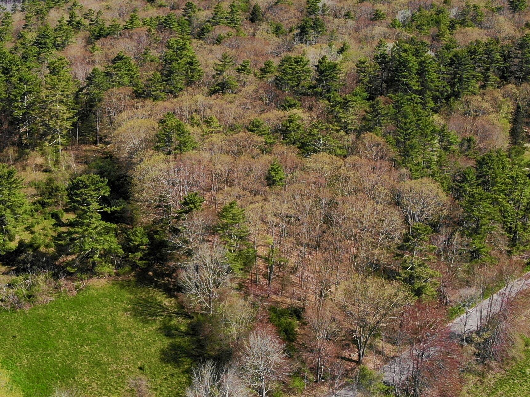 Lot Tbd West Hamlet Road Newcastle, ME 04553 - Photo 8 of 15 DJI_0323