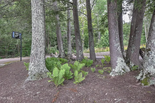 $709,000 | 122 Chase Drive, Roan Mountain, TN 37687