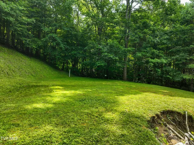 $709,000 | 122 Chase Drive, Roan Mountain, TN 37687